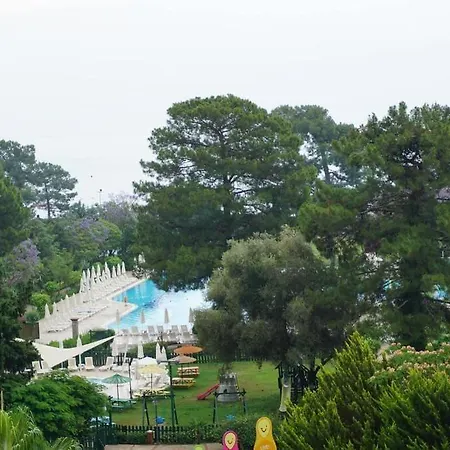 Miarosa Ghazal 5*