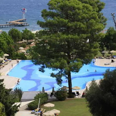Miarosa Ghazal 5*